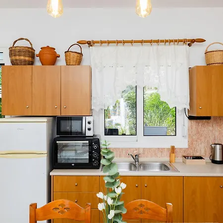 Tatil Evi Korali Sea House Archangelos (Rhodes)